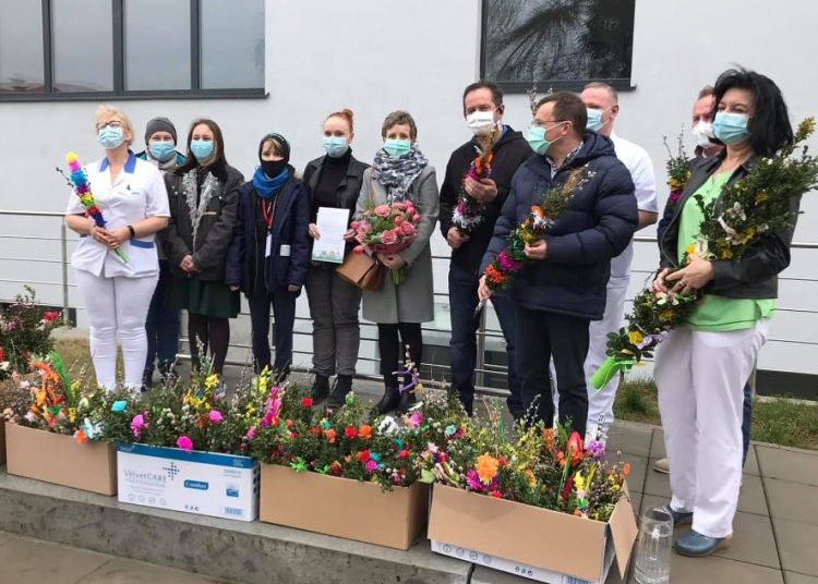 Zrobili palmy dla szpitala