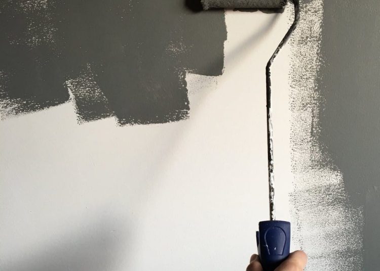 Najlepsze farby wewnętrzne