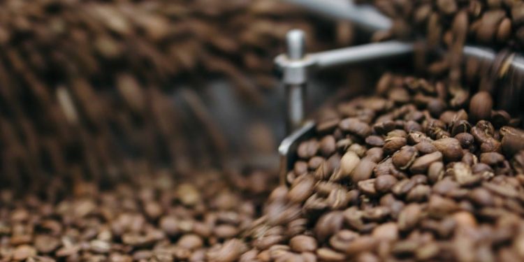 Kawa speciality – co kryje się za tym terminem?