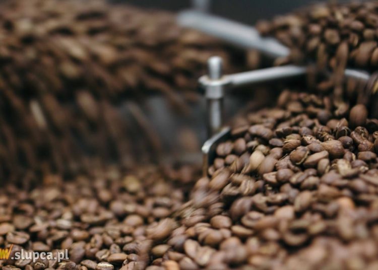 Kawa speciality – co kryje się za tym terminem?