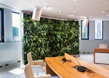 Czy ogrody wertykalne oczyszczają powietrze?