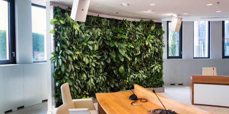 Czy ogrody wertykalne oczyszczają powietrze?