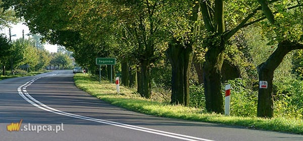 Zagórów: Otrzymają ponad 3 miliony