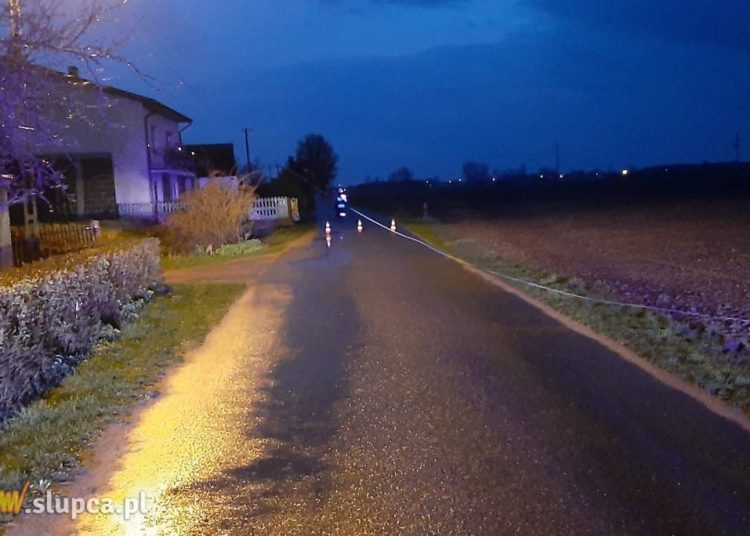 Linia energetyczna spadła na drogę