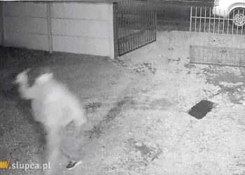 Z nożem wtargnął na posesję. „Bardzo to przeżywam”
