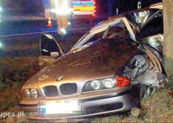 Nie przyznaje się do winy