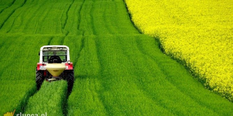 Sklep rolniczy: pytamy jak prawidłowo dbać o maszyny rolnicze