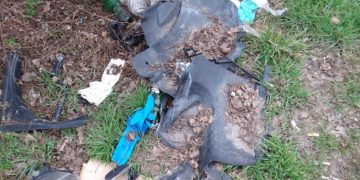 Śmieci przy autostradzie