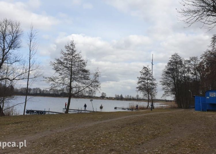 Ostatnie morsowanie na borowince