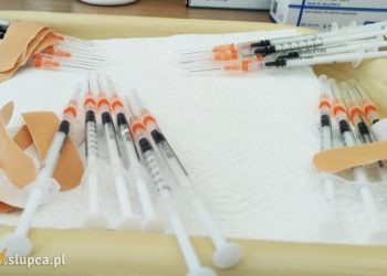 Dziś mają ruszyć szczepienia powszechne
