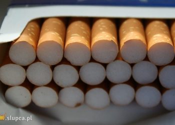 Wyprodukowali miliony nielegalnych papierosów