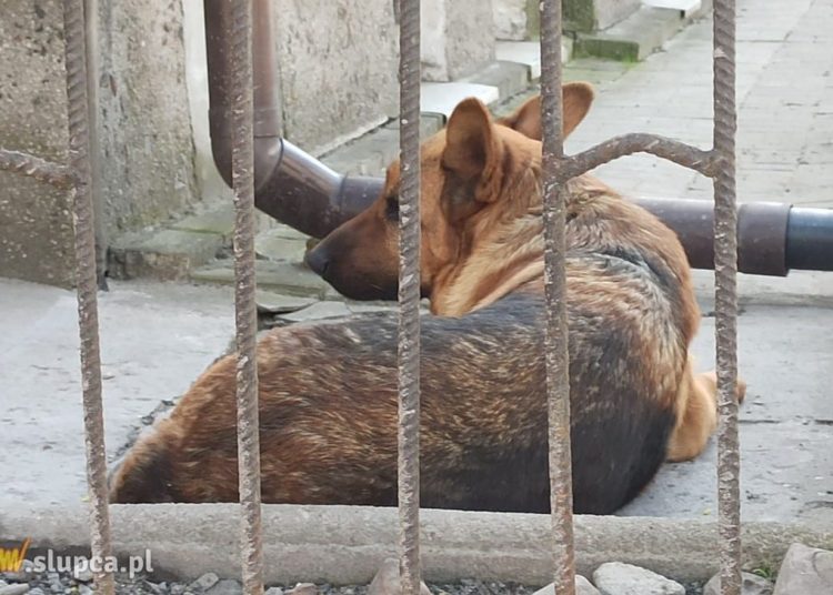 Kontroli jeszcze nie było. Oby nie było za późno