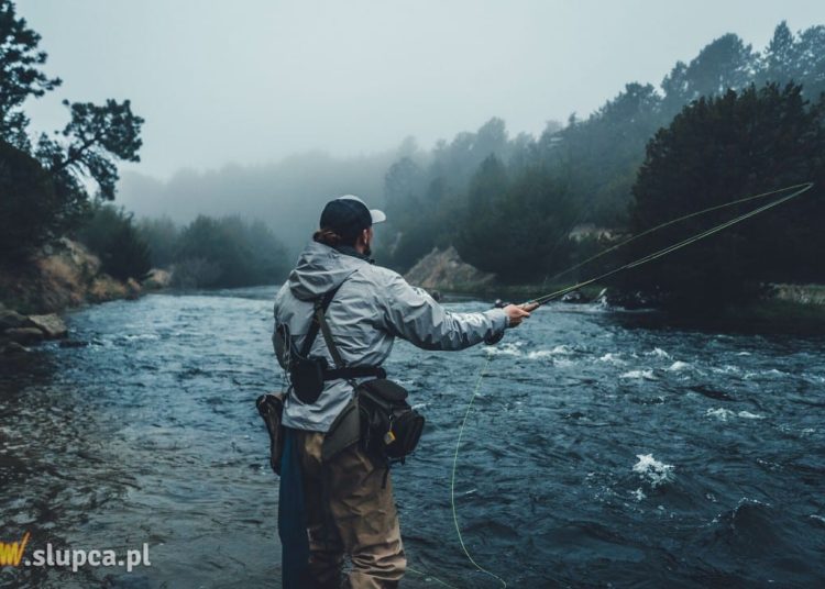 Żyłka vs. plecionka – co wybrać i jakie są różnice?