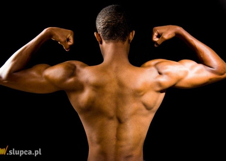 Odżywki białkowe – co warto wybrać?