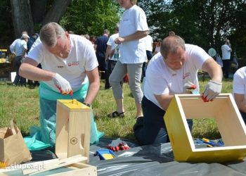 Na dawnym targowisku powstała pasieka