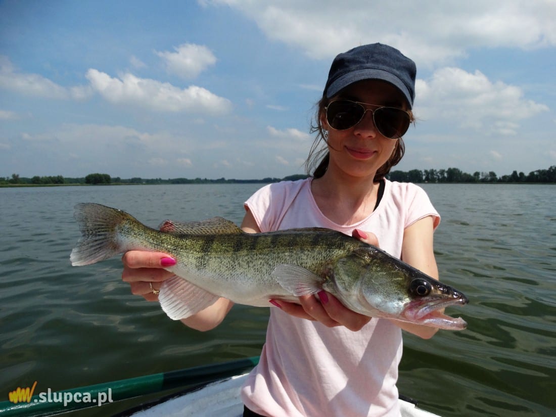 W Jeziorze Słupeckim zdychają kolejne ryby ZDJĘCIA i FILM