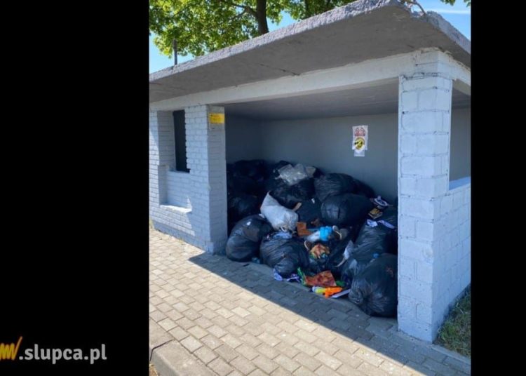 Śmietnik na przystanku. „Ktoś się bardzo napracował”