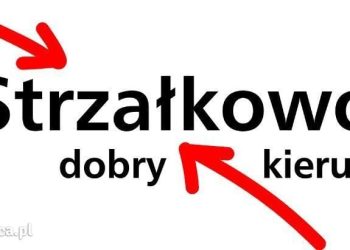 Wracają po rocznej przerwie
