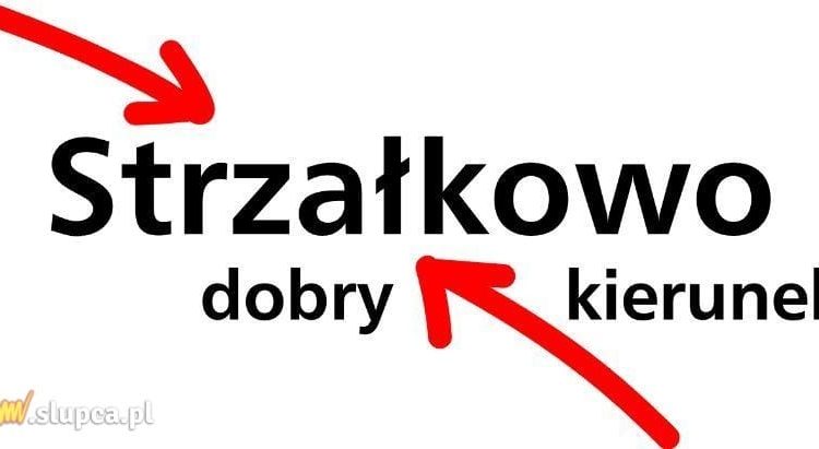 Wracają po rocznej przerwie