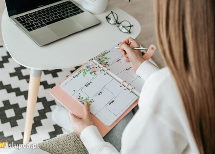 Najbardziej opłacalne branże. Gdzie szukać pracy?