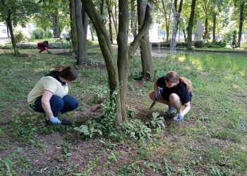 Sadzonki trafiły na skwer
