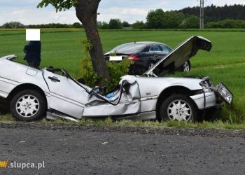 Auto uderzyło w drzewo. Kierował 18-latek, w środku były dzieci