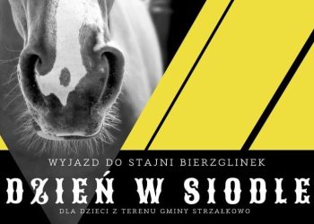 Pojadą do stajni w Bierzglinku