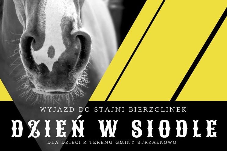 Pojadą do stajni w Bierzglinku