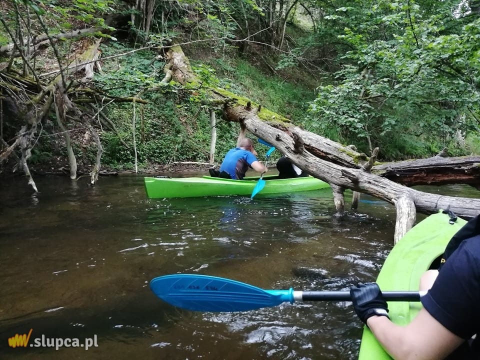 Spływ kajakowy „Drawa 2021”. Zobacz zdjęcia