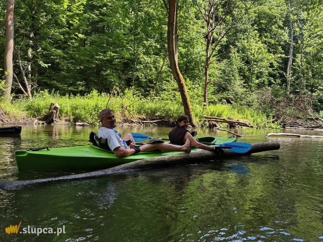 Spływ kajakowy „Drawa 2021”. Zobacz zdjęcia