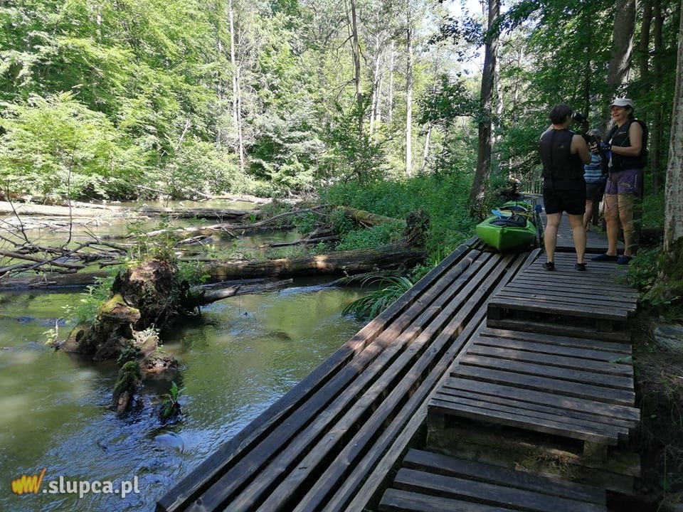 Spływ kajakowy „Drawa 2021”. Zobacz zdjęcia