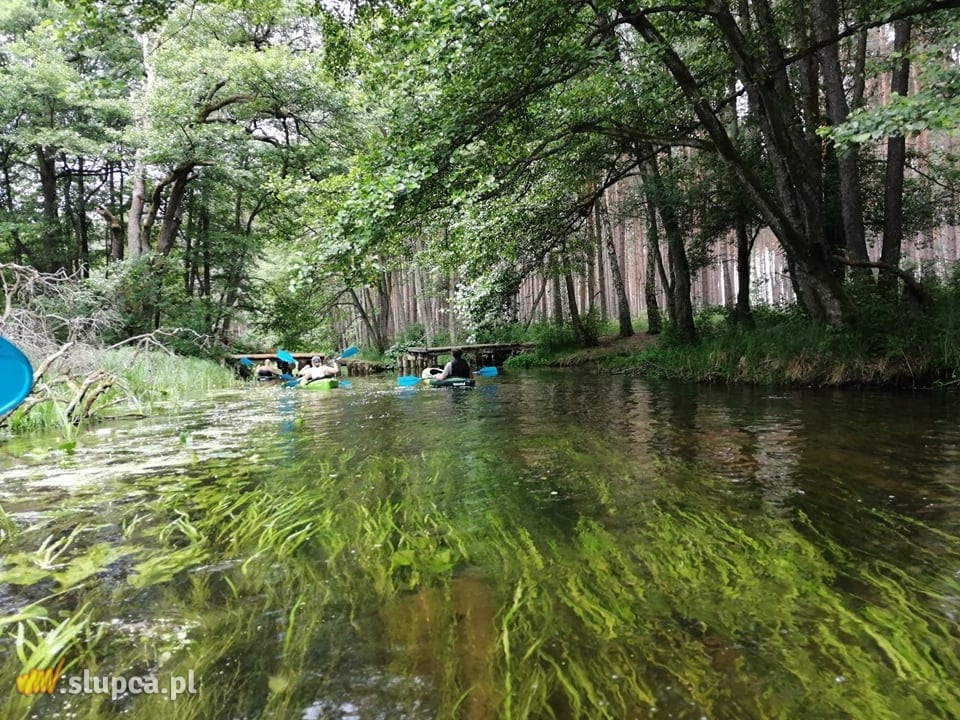 Spływ kajakowy „Drawa 2021”. Zobacz zdjęcia