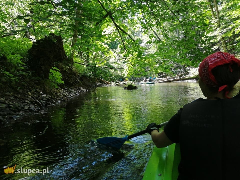 Spływ kajakowy „Drawa 2021”. Zobacz zdjęcia