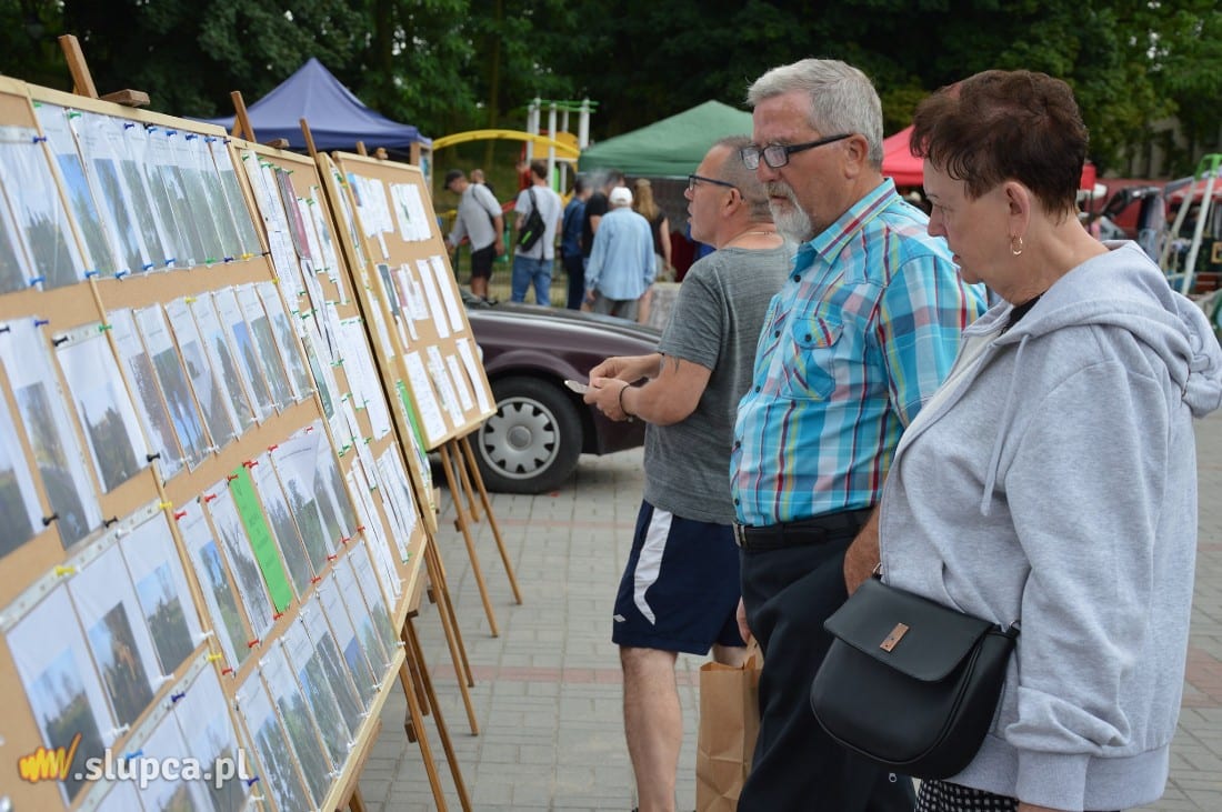 XXVI Dni Powidza już za nami GALERIA ZDJĘĆ