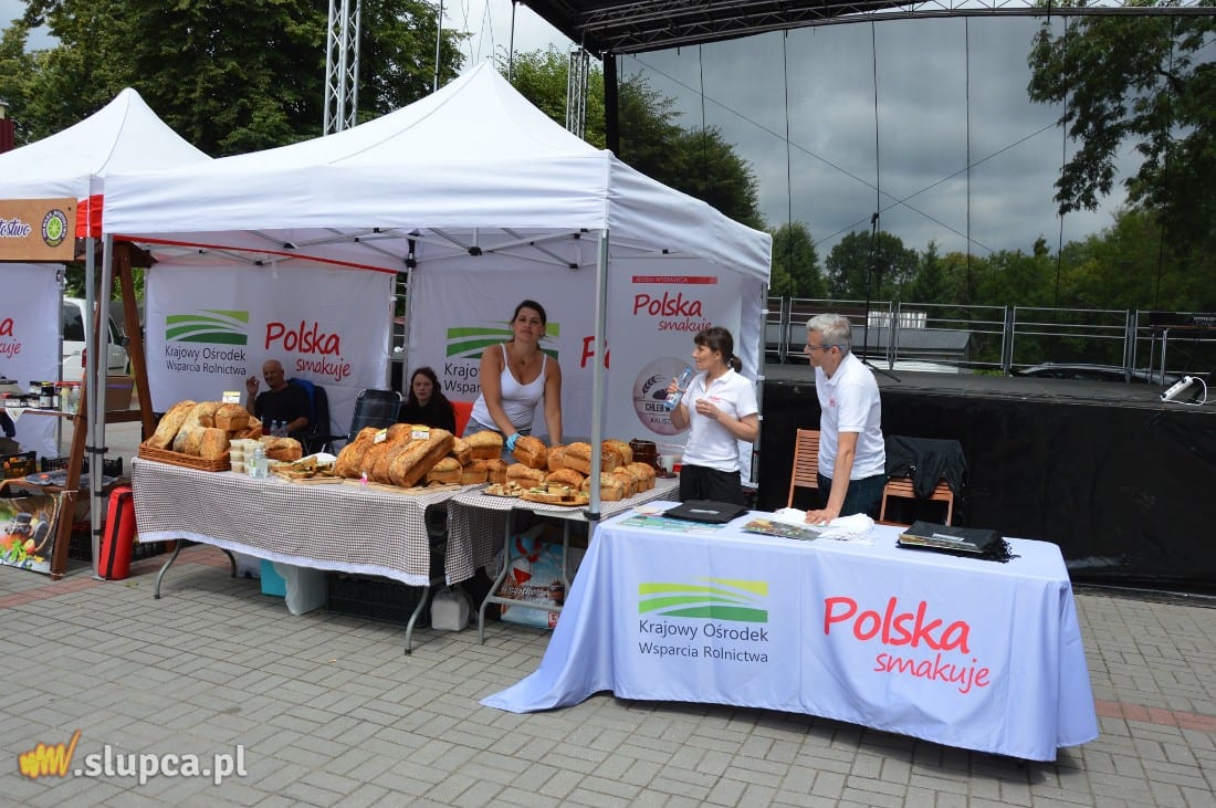 XXVI Dni Powidza już za nami GALERIA ZDJĘĆ