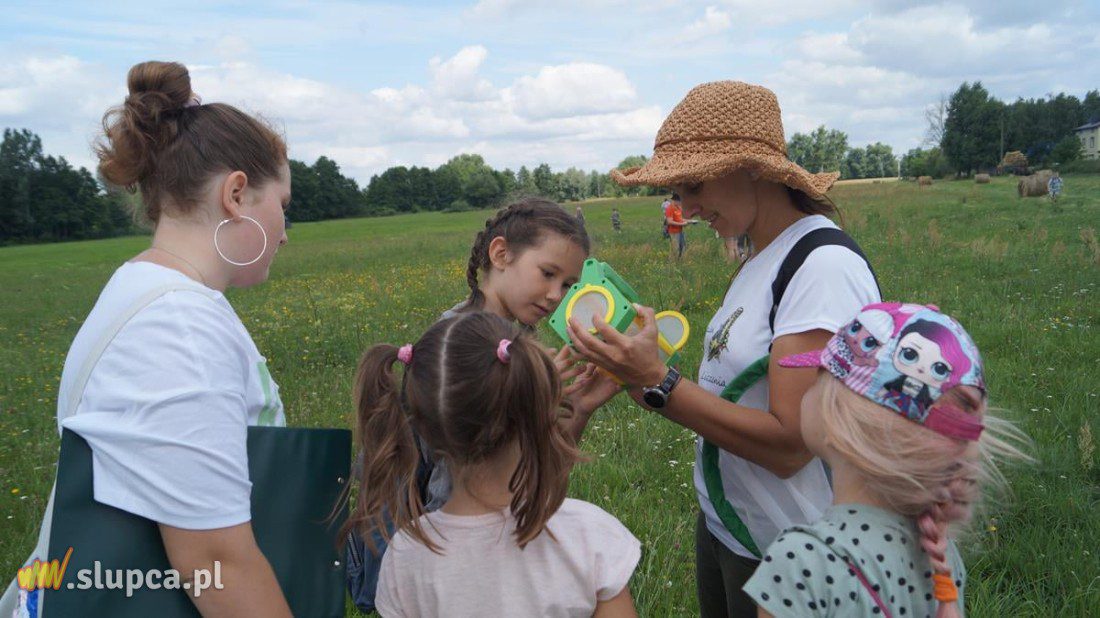 Tydzień Liczenia Motyli w wielkopolskich parkach krajobrazowych