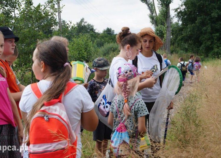 Tydzień Liczenia Motyli w wielkopolskich parkach krajobrazowych
