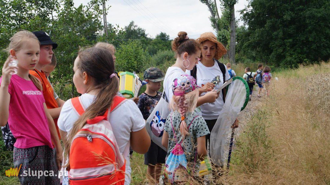 Tydzień Liczenia Motyli w wielkopolskich parkach krajobrazowych