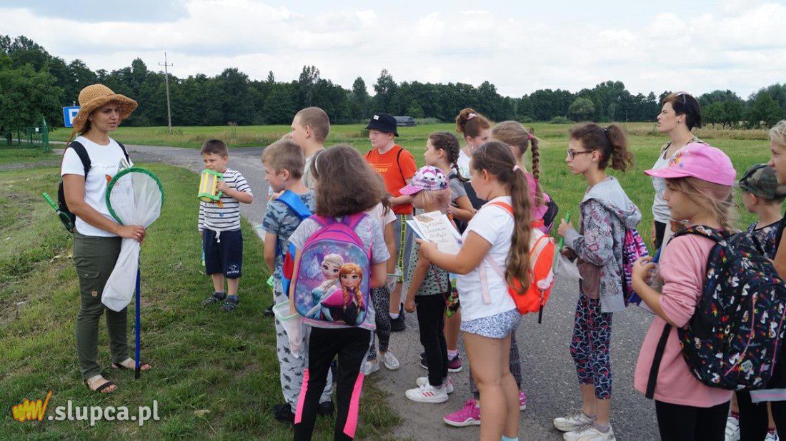 Tydzień Liczenia Motyli w wielkopolskich parkach krajobrazowych