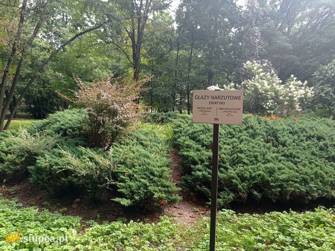 A może by tak do miejskiego parku… GALERIA ZDJĘĆ