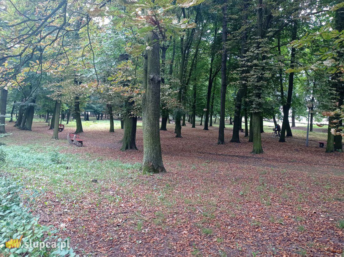 A może by tak do miejskiego parku… GALERIA ZDJĘĆ