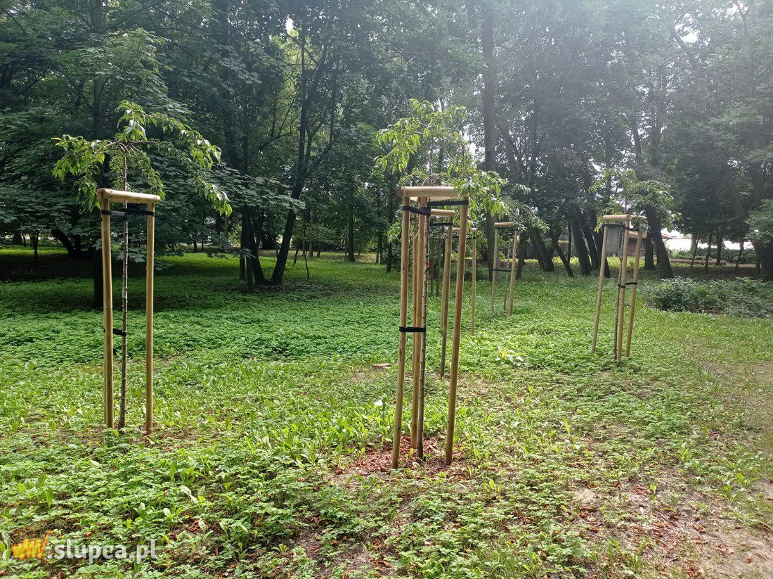 A może by tak do miejskiego parku… GALERIA ZDJĘĆ