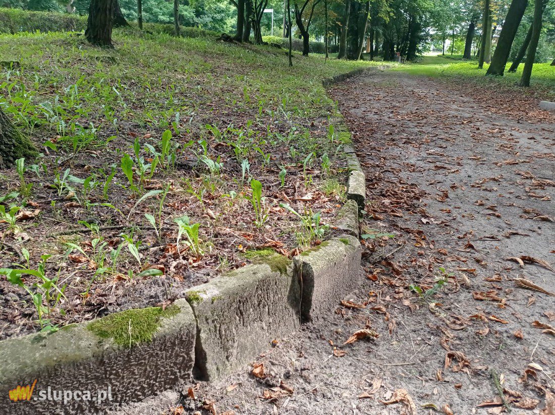 A może by tak do miejskiego parku… GALERIA ZDJĘĆ