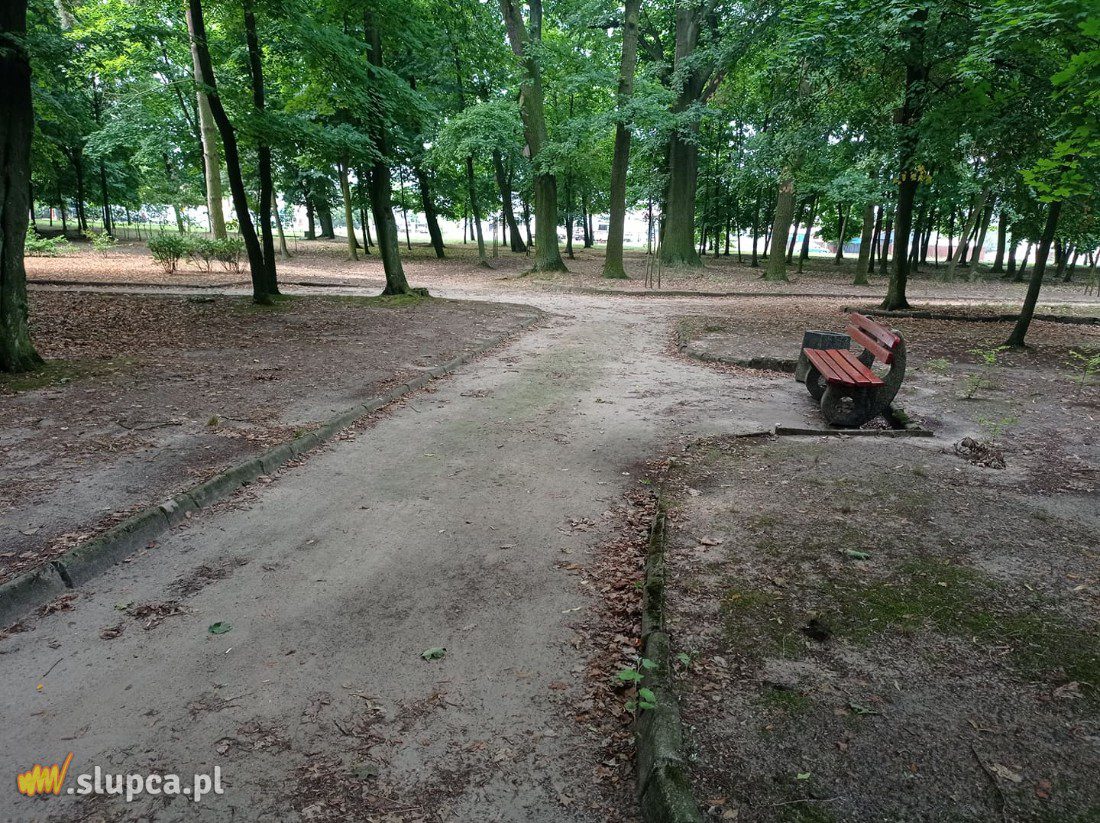 A może by tak do miejskiego parku… GALERIA ZDJĘĆ