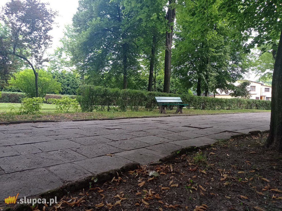 A może by tak do miejskiego parku… GALERIA ZDJĘĆ