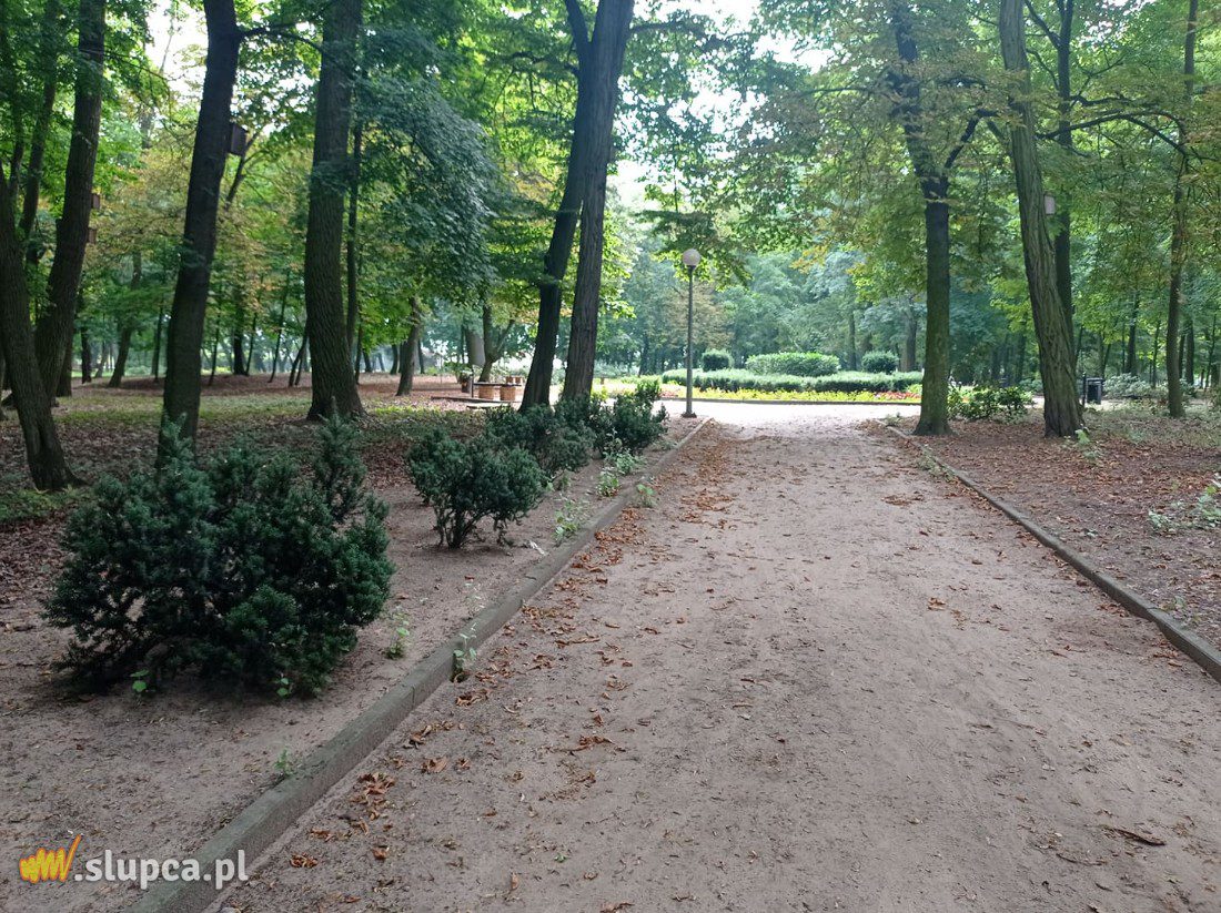 A może by tak do miejskiego parku… GALERIA ZDJĘĆ