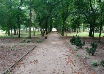 A może by tak do miejskiego parku… GALERIA ZDJĘĆ