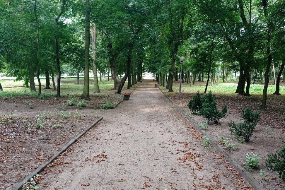 A może by tak do miejskiego parku… GALERIA ZDJĘĆ