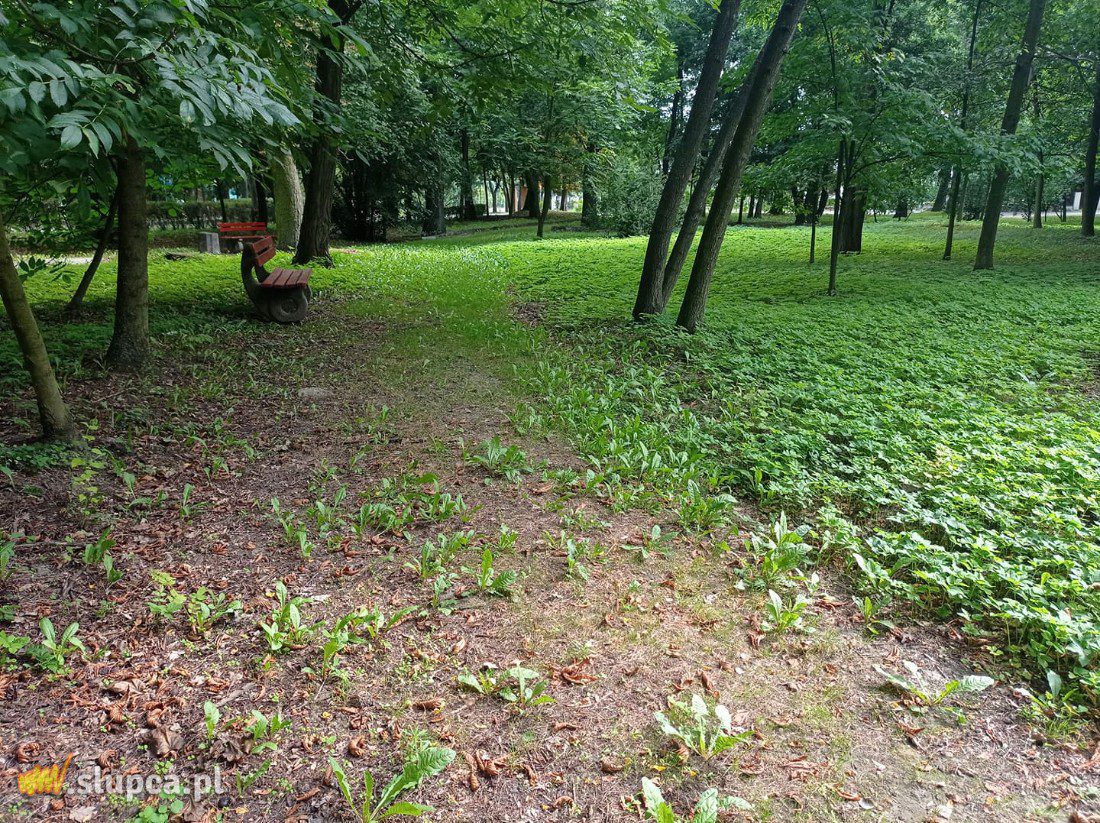 A może by tak do miejskiego parku… GALERIA ZDJĘĆ