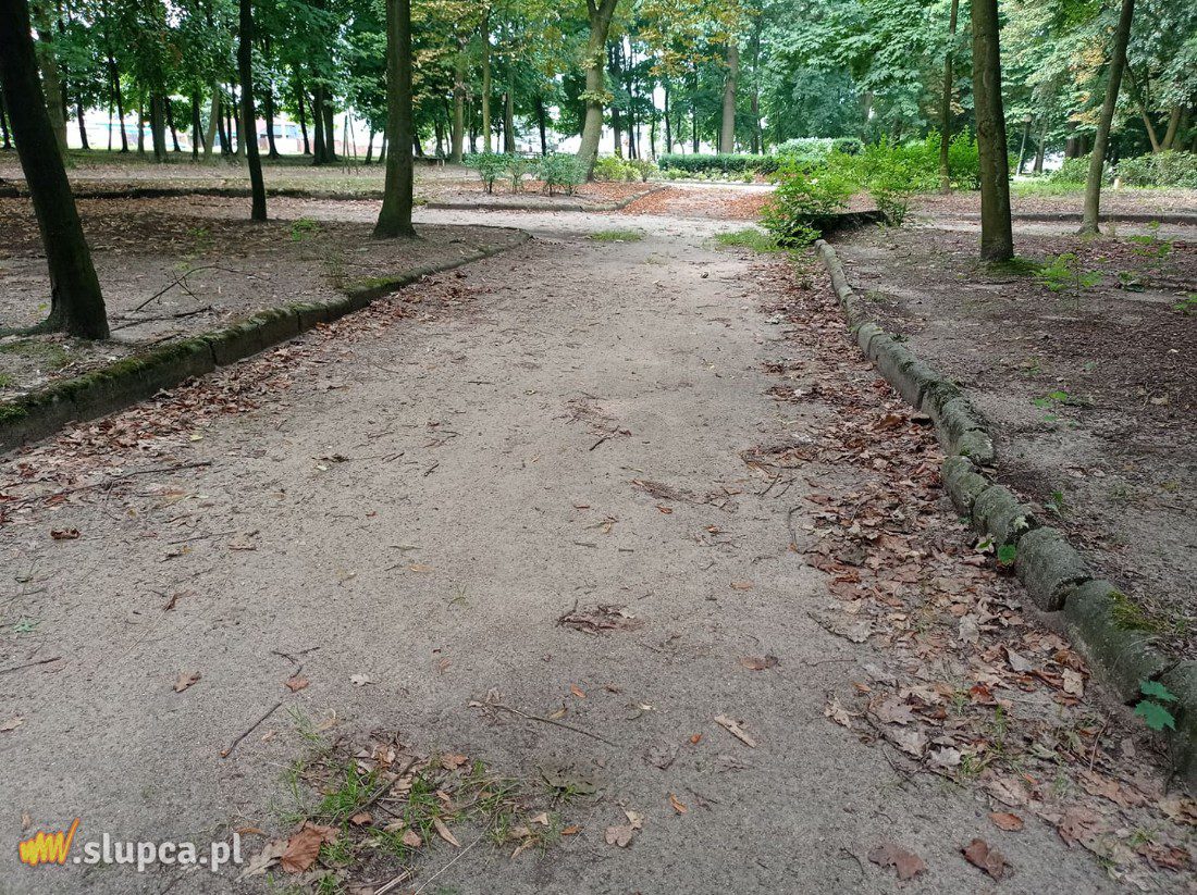 A może by tak do miejskiego parku… GALERIA ZDJĘĆ